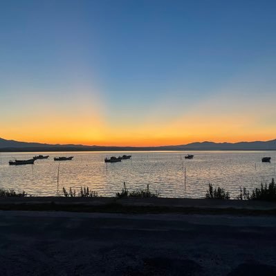 mizuiro_bu's profile picture. 持ち武器未定タコ