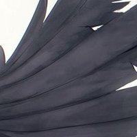 R (@rune________al) Twitter profile photo