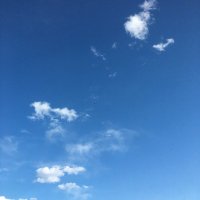 serdar (@sersahin1) Twitter profile photo