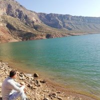 memfato0156 (@memfato0156) 's Twitter Profile