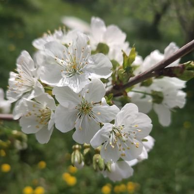 milad_erh's profile picture. 