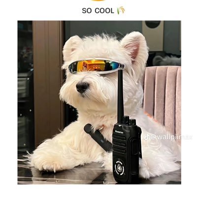 aragonbet's profile picture. เรื่อยเปื่อย