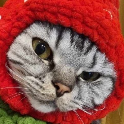 @tinygigycat