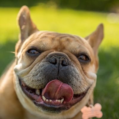 YutoK96356's profile picture. 