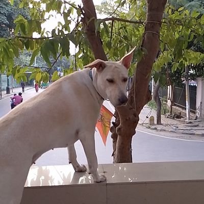 AdityaS19769990's profile picture. Bookworm, chess enthusiast, and aspiring entrepreneur. Embracing the hustle and making moves!