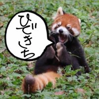 ひできち (@hidekichinanoda) 's Twitter Profile Photo ひできち (@hidekichinanoda) 's Twitter Profile Photo