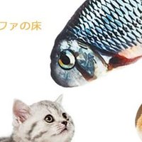 (オ)でん日記 (@ecstasy_libido) 's Twitter Profile