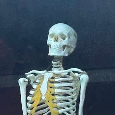 EhvzyFranck's profile picture. 