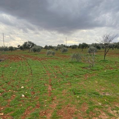 wahab_hamada's profile picture. لمْ نُخلقْ للبقآء , فأصنع لِروحِك أثراً طيباَ يَبقى مِن بَعدكْ .... ..