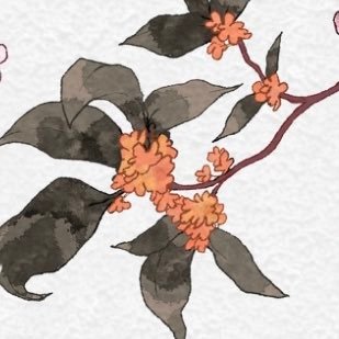 茶葉さんのプロフィール画像