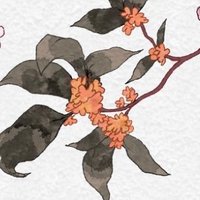 茶葉 (@waiwaiocha) 's Twitter Profile