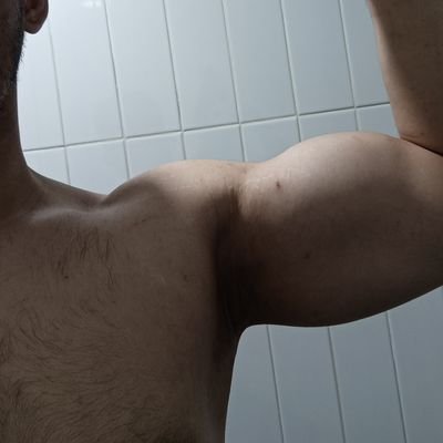 _wolfieee's profile picture. 🐺❤🐻 @hanhan092023