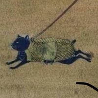 ♱☉♱☉♱☉♱ (@___vvill___) 's Twitter Profile