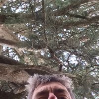 S0c1alMan (@s0c1alman) 's Twitter Profile