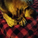 Mark Manning - @MarkMannin52555 - Twitter