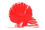 Aldeburgh Business Association is proud to support our amazing seaside town!