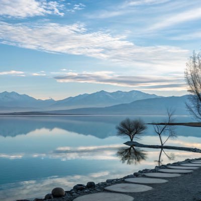 monkeyit001's profile picture. 