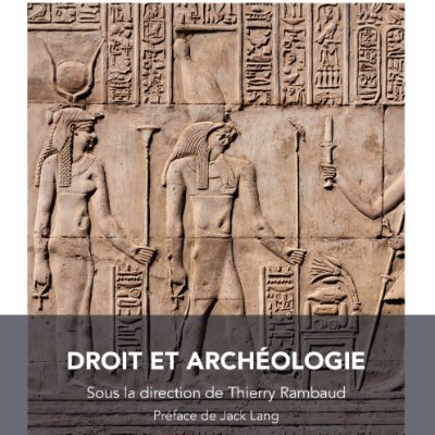 Docteur en archéologie de l'université d'Aix-Marseille (2021), spécialiste du pillage du patrimoine archéologique et du trafic de biens archéologiques français