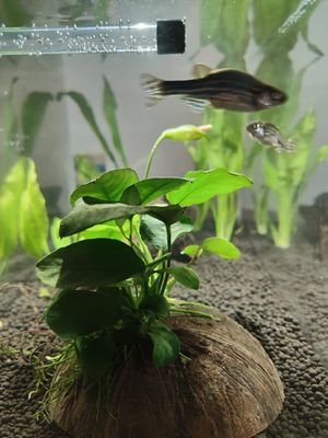 Maria93587582's profile picture. 