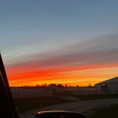 saraidiazzz's profile picture. 🦂