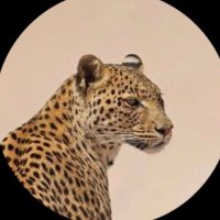 x (@iivjri) 's Twitter Profile
