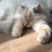 mokaryo_03's profile image