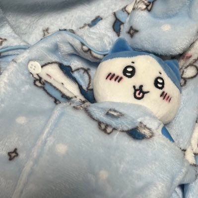 chang_000000's profile picture. 韓国の大学生です❗ハチワレ大好きで色々話したいんです〜日本語平気です☺ #ハチワレ