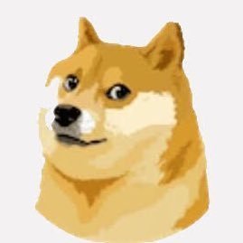 Peaceful degen, here for the memes and positive vibes. (Note I rarely respond to DMs