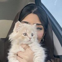 مرام جده (@mram3535) Twitter profile photo