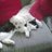 ellyjock's profile image