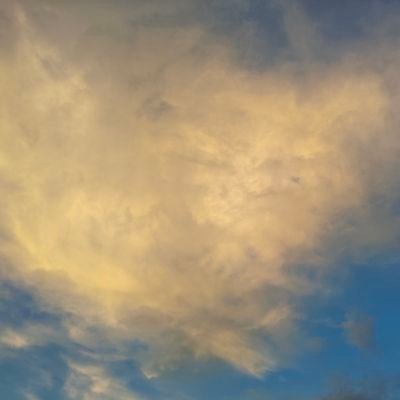 geermusiji's profile picture. 常住格尔木，性别男，爱好女，同城交友，素质单男，大学生，人妻，少妇均可联系，181..24..65，只入身体不入生活另一个号@wenyi9449