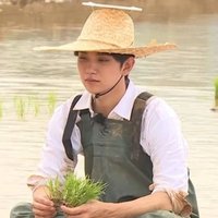 柚 (@shua_rabbit) 's Twitter Profile