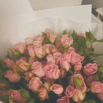 puytll's profile picture. IT student | #pnu