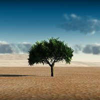 Money (@moneyval_) 's Twitter Profile Photo