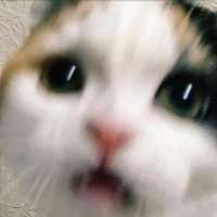 AWA πβπ© (@agupalty) 's Twitter Profile Photo AWA πβπ© (@agupalty) 's Twitter Profile Photo