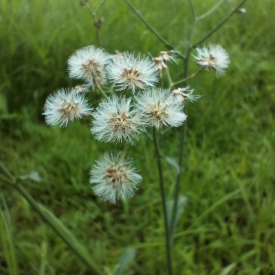Scholarly communications and other writerly & science-y interests
(No longer active here. Please connect on LinkedIn.)