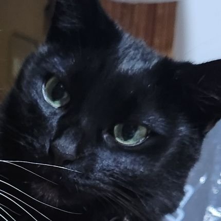 Okaaaan_ryugujo's profile picture. 龍宮城、城推し🐉🏯
オルタナティブ歌謡舞踊集団の一員なのでオルタナティブに布教活動していきたいです✨
0年0組出身者応援してます🏫
アヴちゃん先生、Sota先生に常に感謝😌

龍宮城関連のポストにいいねして盛り上げたいと思ってます😊