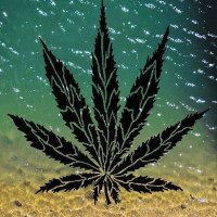BOB OG (@bobog0101) 's Twitter Profile
