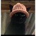 Protege (@catstribe2025) Twitter profile photo Protege (@catstribe2025) Twitter profile photo