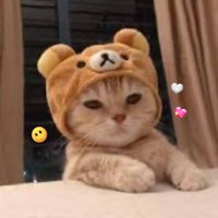 เป้ยเป่ามี๊ฝ้าย 나나누 💓 (@sweertheartth) 's Twitter Profile