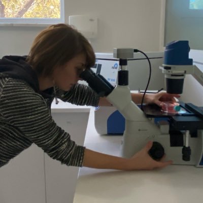 Prof_DrSimsek's profile picture. ✨🎈