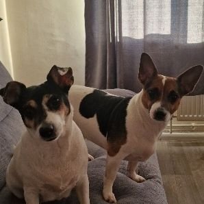 SpangledBudda's profile picture. I'm just Budda! 67 years old, Hippy/DJ/Raver/Promoter from way back in the day! And now a Gamer ❤️ 🎶 ☯️ ૐ !! 

Oii Oii \o/ 😊 xoxo