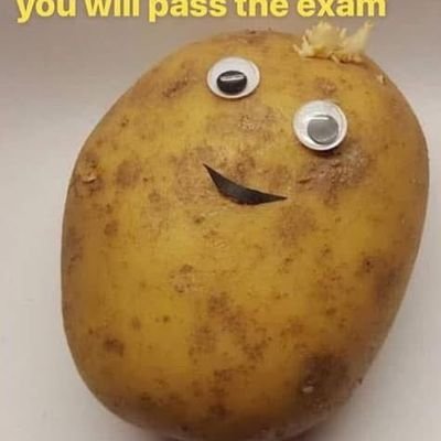 okaumko's profile picture. 