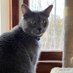 AskMrFrisky.org Animal Rescue 🐾 (@askmrfrisky) Twitter profile photo AskMrFrisky.org Animal Rescue 🐾 (@askmrfrisky) Twitter profile photo