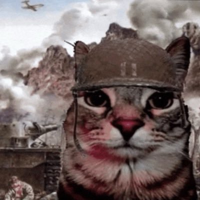 DntComeHome2day's profile picture. only here for the memes, futbol ⚽️ and twitter drama.