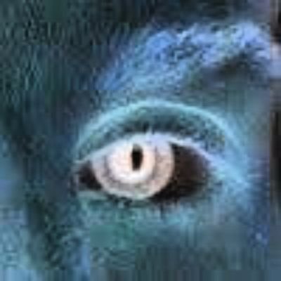 Warth8113's profile picture. 
