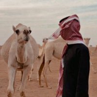 فيصل (@fasl____) 's Twitter Profile Photo فيصل (@fasl____) 's Twitter Profile Photo