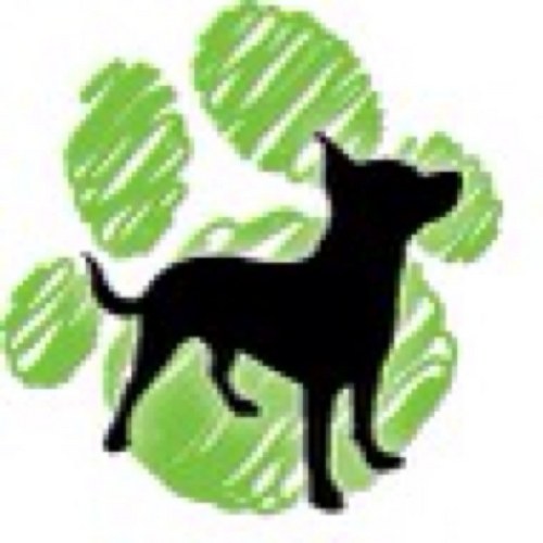 TakeCarePets's profile picture. http://t.co/SMydRwmt5x carries great products for your four legged love ones.  (Launching 4/2012)