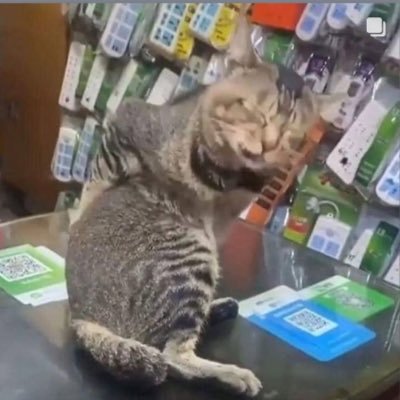 manucand1823's profile picture. ⬇️🔥🐥