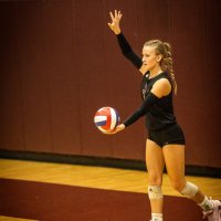 Addison Hammond (@hammond292916) 's Twitter Profile